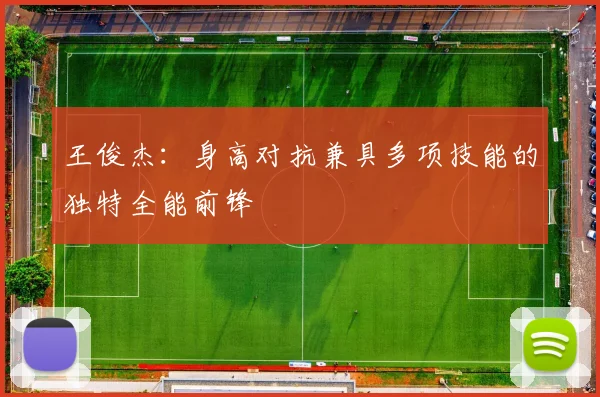 王俊杰：身高对抗兼具多项技能的独特全能前锋