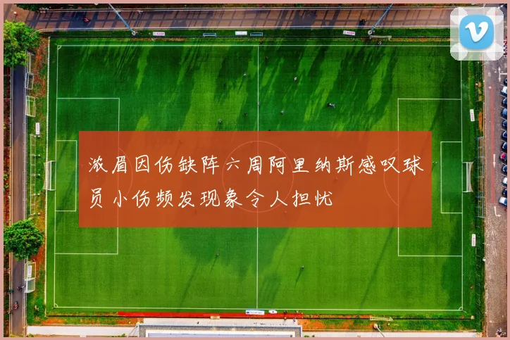 浓眉因伤缺阵六周阿里纳斯感叹球员小伤频发现象令人担忧